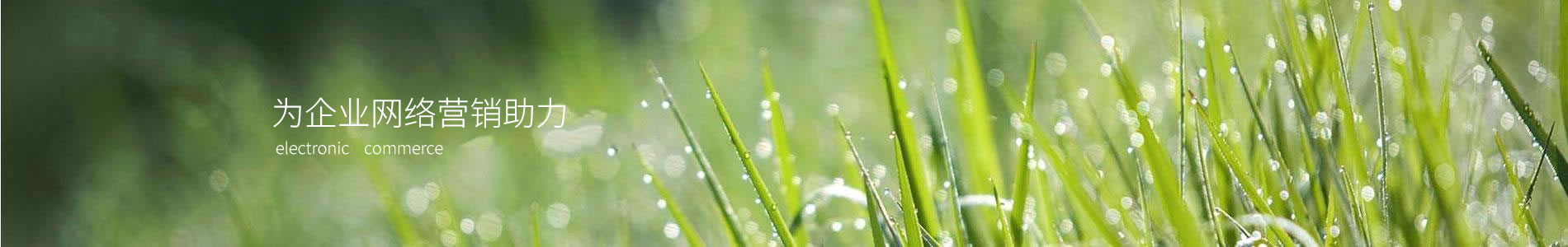 ĴƼ޹˾